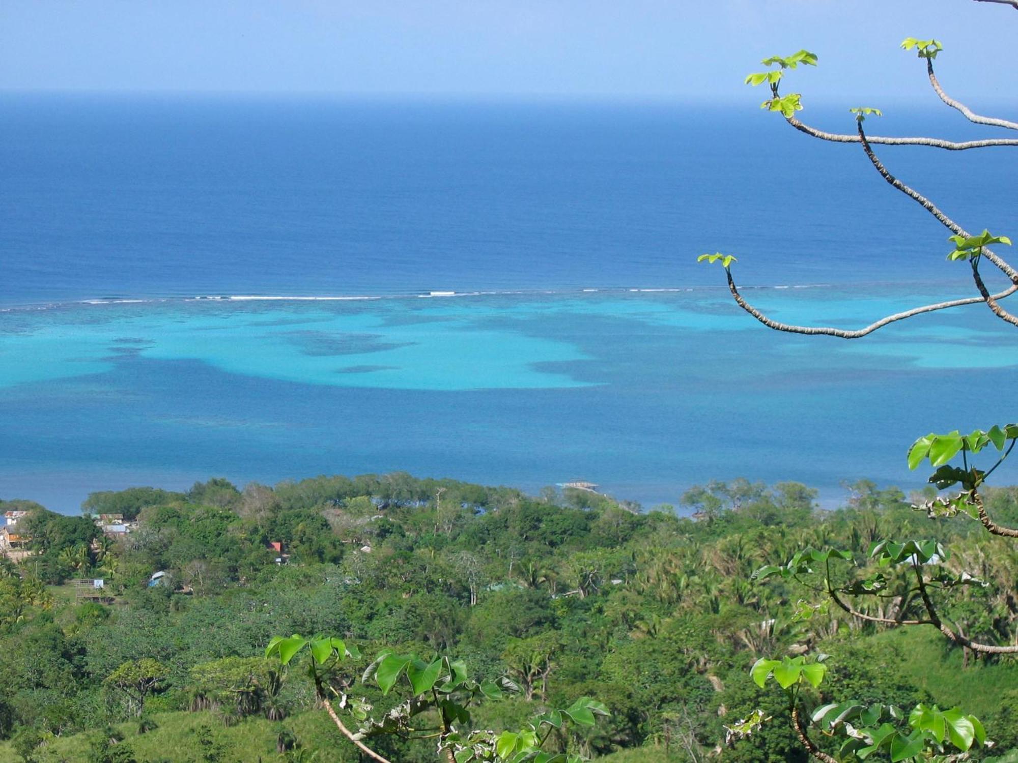 Roatan Bed & Breakfast Apartments West End Buitenkant foto