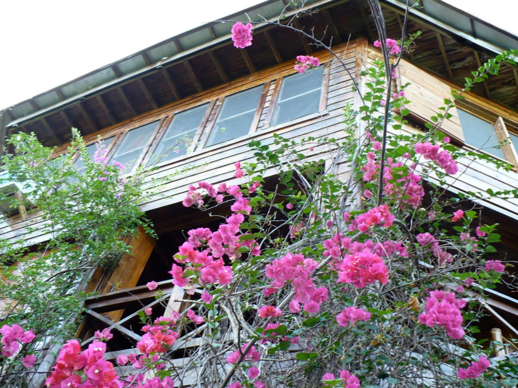 Roatan Bed & Breakfast Apartments West End Buitenkant foto