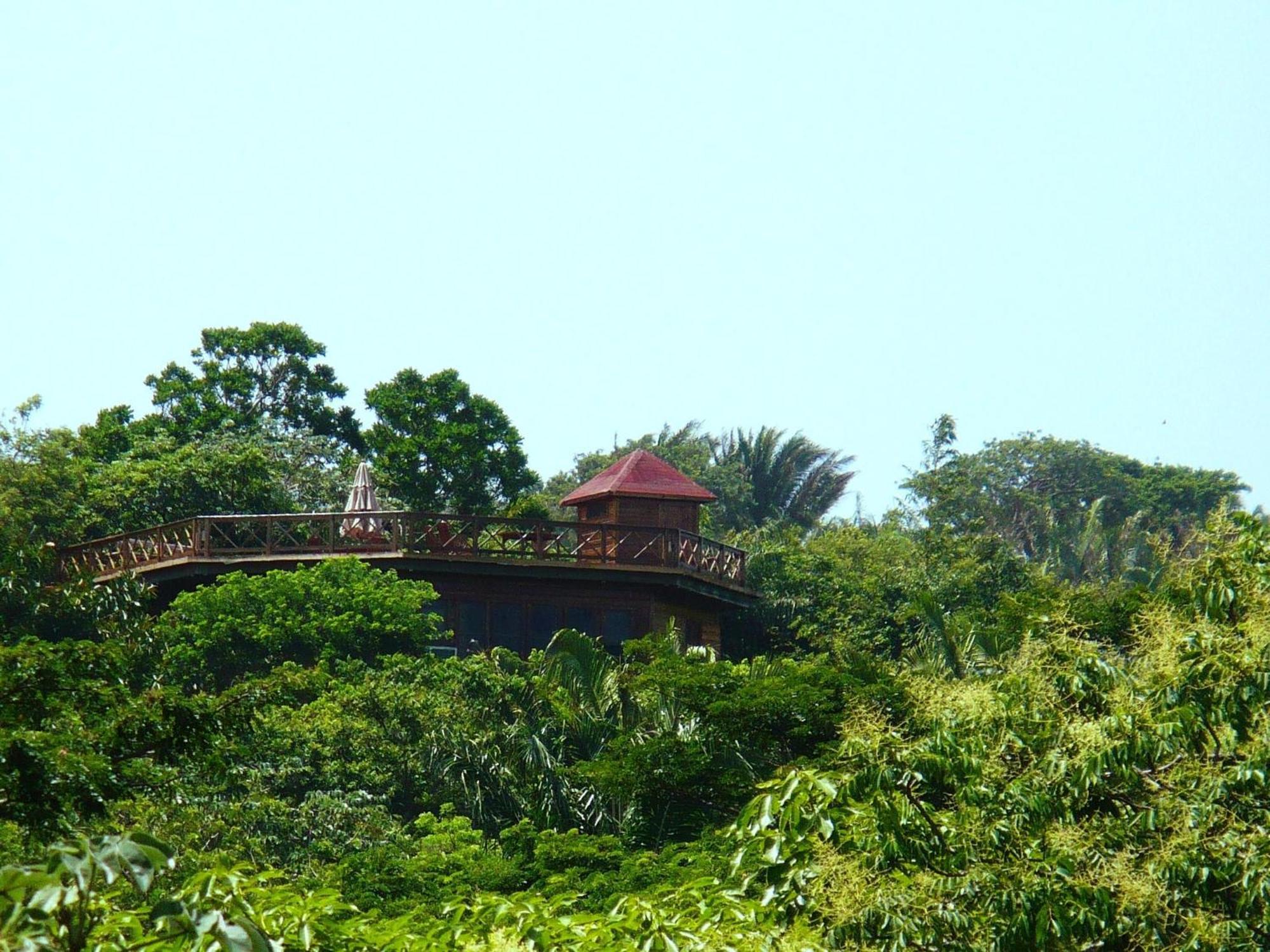 Roatan Bed & Breakfast Apartments West End Buitenkant foto